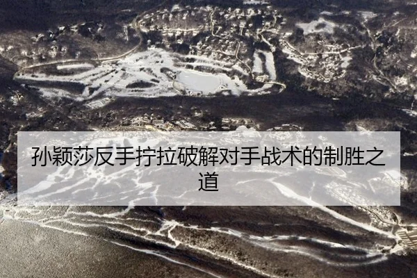 sun-ying-sha-fan-shou-ning-la-po-jie-dui-shou-zhan-shu-de-zhi-sheng-zhi-dao-3-702.jpg