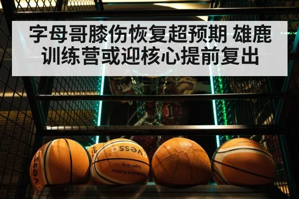 字母哥膝伤恢复超预期 雄鹿训练营或迎核心提前复出