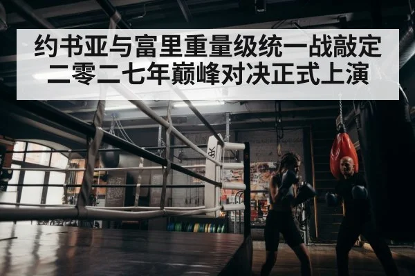 boxer training